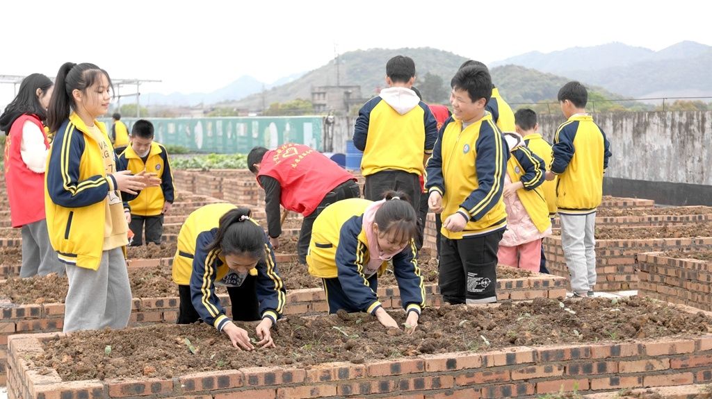 【“六个江西”新余民生画卷】分宜：别样课堂助力“双减”