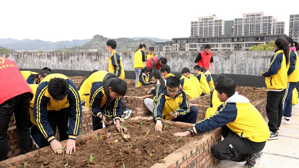 【“六个江西”新余民生画卷】分宜：别样课堂助力“双减”