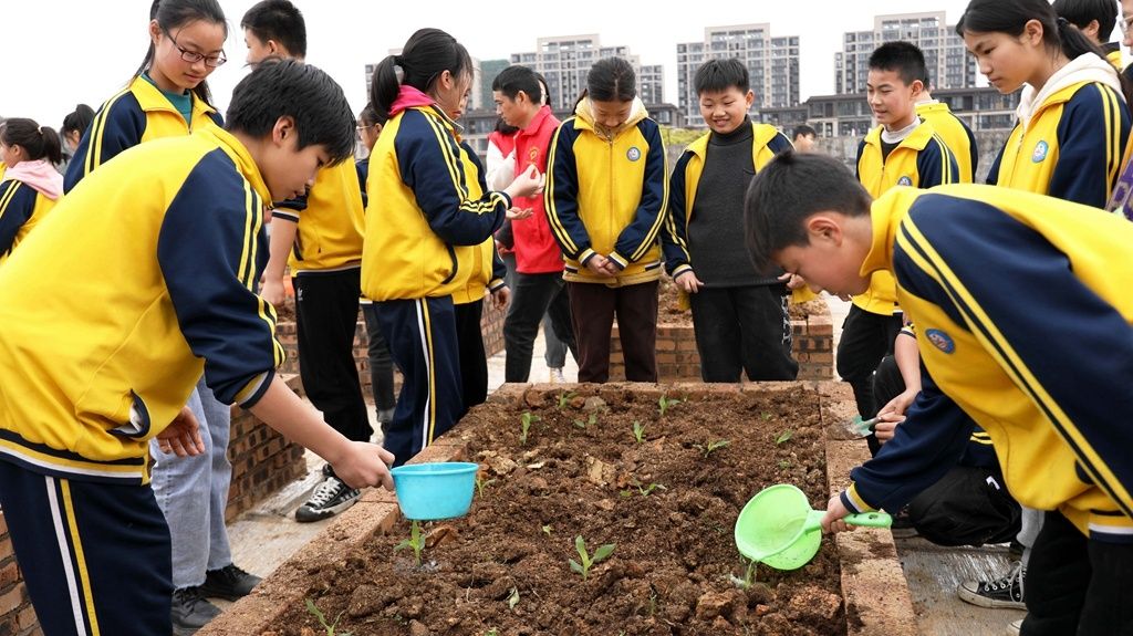 【“六个江西”新余民生画卷】分宜：别样课堂助力“双减”