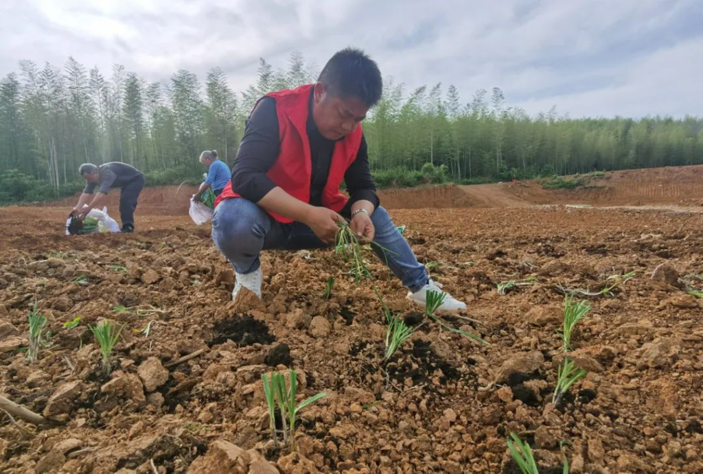 【“六个江西”新余民生画卷】黄永飞：村支书的三个角色