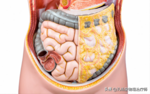 两侧腰部赘肉如何减掉_腰两边的赘肉是怎么形成的