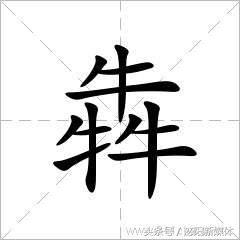 三个牛读什么(三个火读什么)