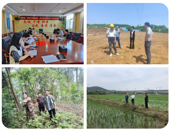 双林镇：加强作风建设促效能提升