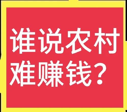 农村开什么店生意好(农村开什么店比较好赚钱)