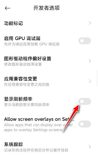 小米开发者模式怎么显示帧率(小米11设置帧数)