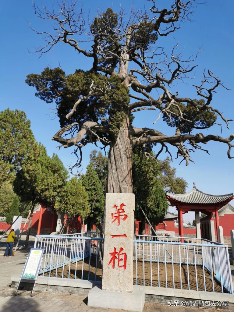 山东有什么好玩的地方_山东最为著名的十大景区