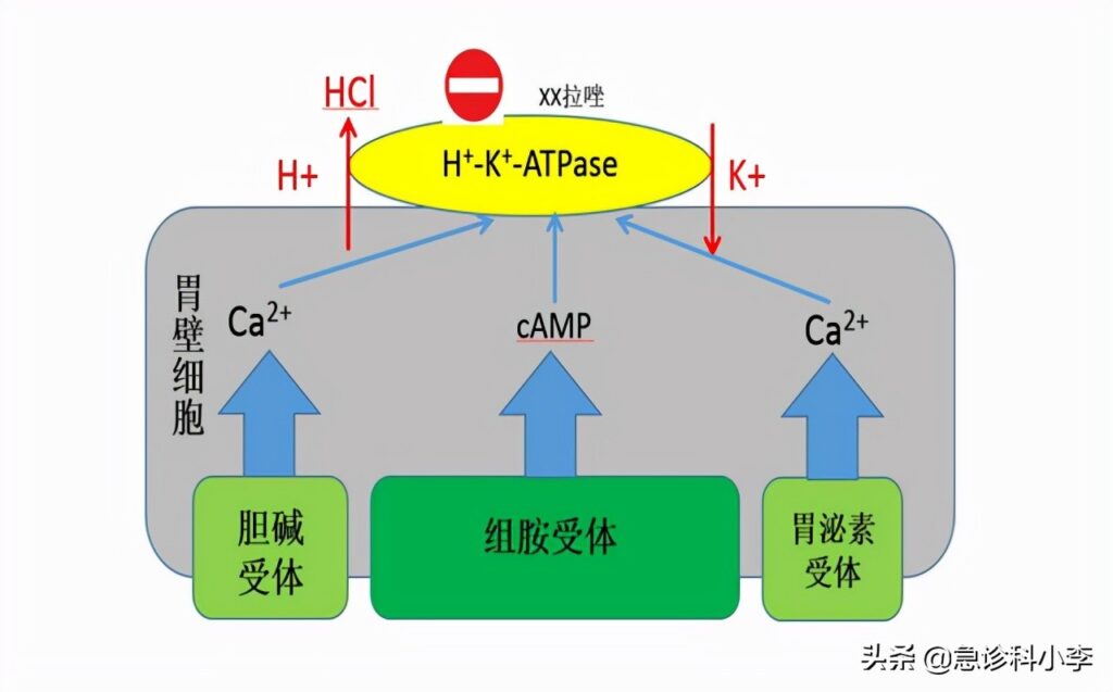 奥美拉唑是什么药_奥美拉唑是餐前吃还是餐后吃