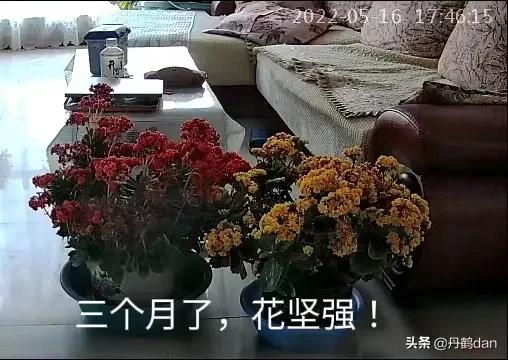 直击上海车站离沪现场