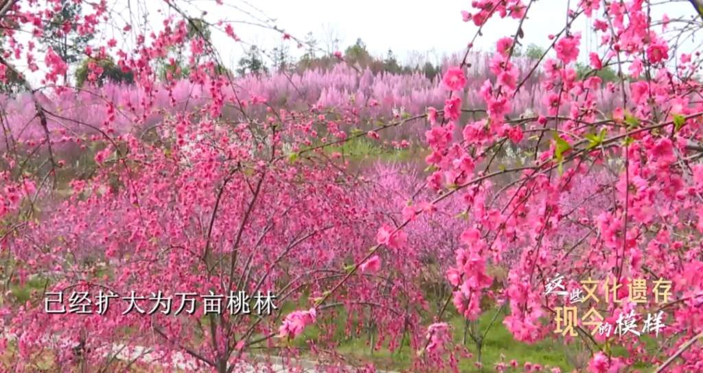 “桃花源”里觅新景