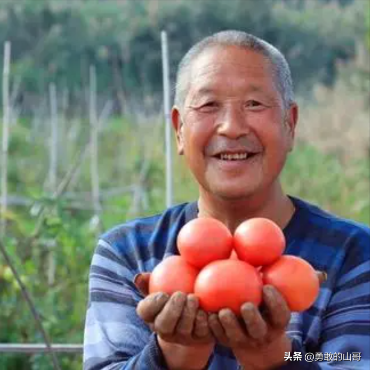 河北人是怎样的性格_河北人是什么样的性格