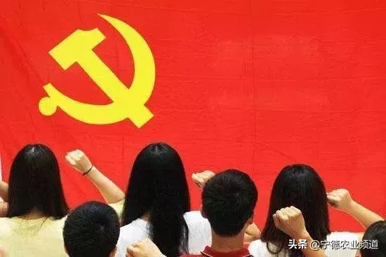 发展党员需坚持什么原则(发展党员必须坚持的原则)