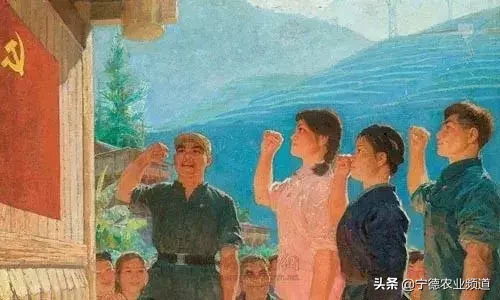 发展党员需坚持什么原则(发展党员必须坚持的原则)