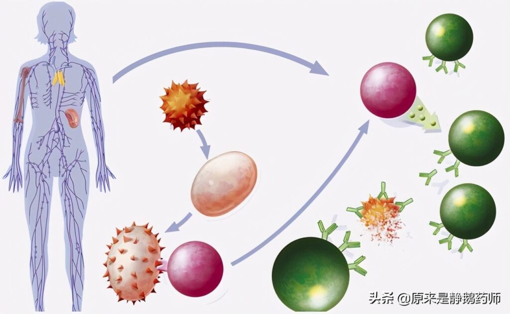 过敏看什么科_过敏挂什么科