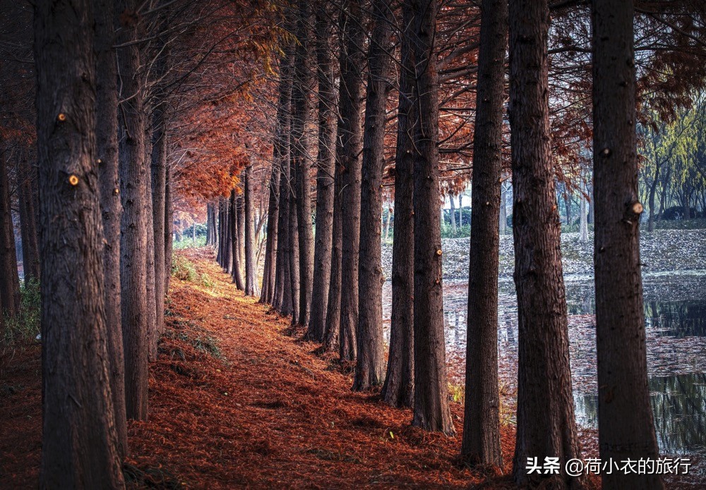 苏州有什么好玩的地方_苏州有什么地方值得去