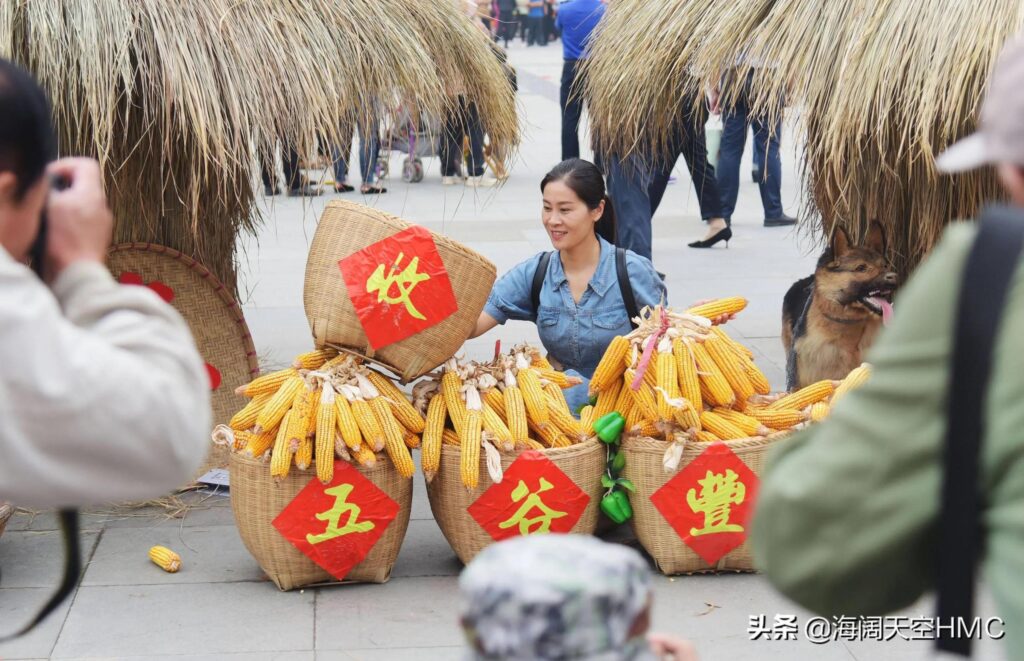 全球粮食再响警报 大米也紧张