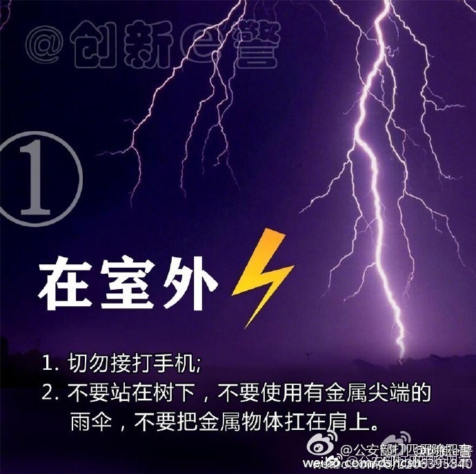 7村民上山遭雷击身亡 县政府回应