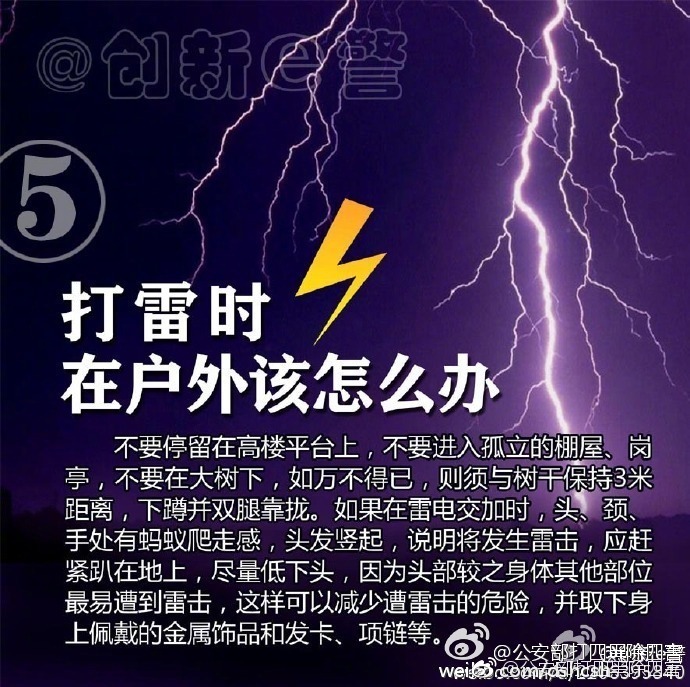 7村民上山遭雷击身亡 县政府回应