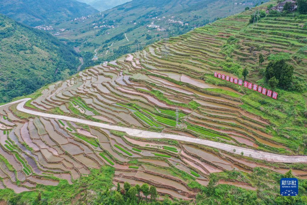 重庆丰都：夏耕美景入画来