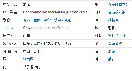 中国的十大名花分别是什么_中国的十大名花