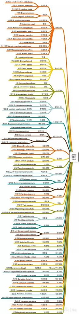 被封男子吃绿化带发现84种草药