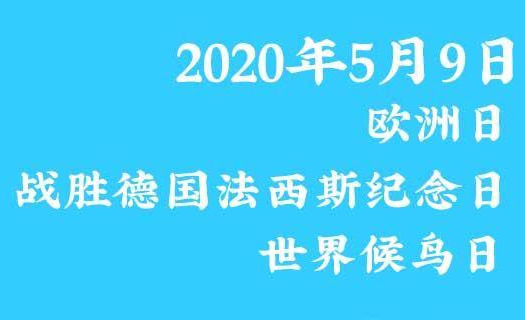 5月份有什么节日_5月节日有哪些节日