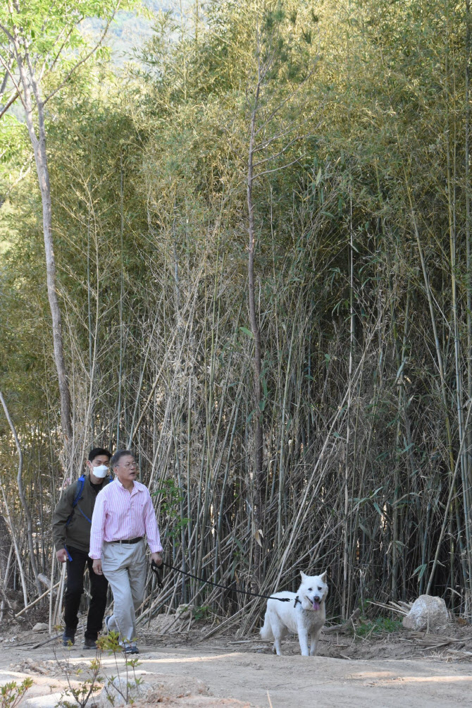 被堵家门辱骂20天后 文在寅报警