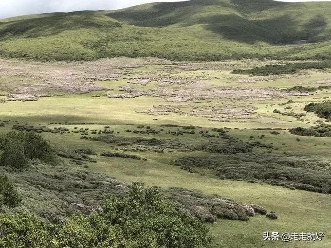 全国最穷的地方是哪些地方_中国最贫穷的10个县