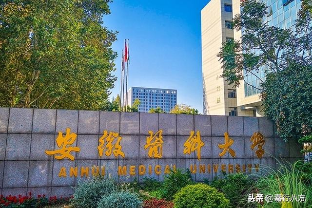 医科大学哪所实力最强_中国排名前10的医科大学