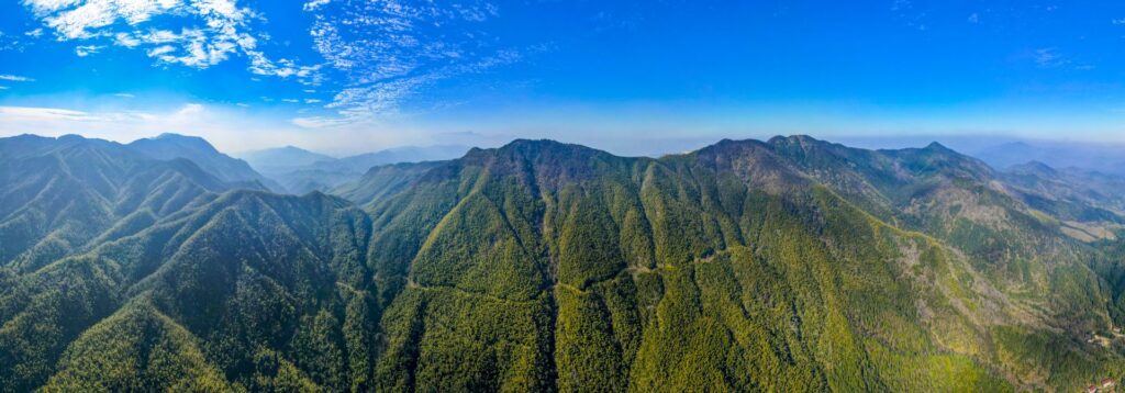 江西是个好地方｜大岗山的味道