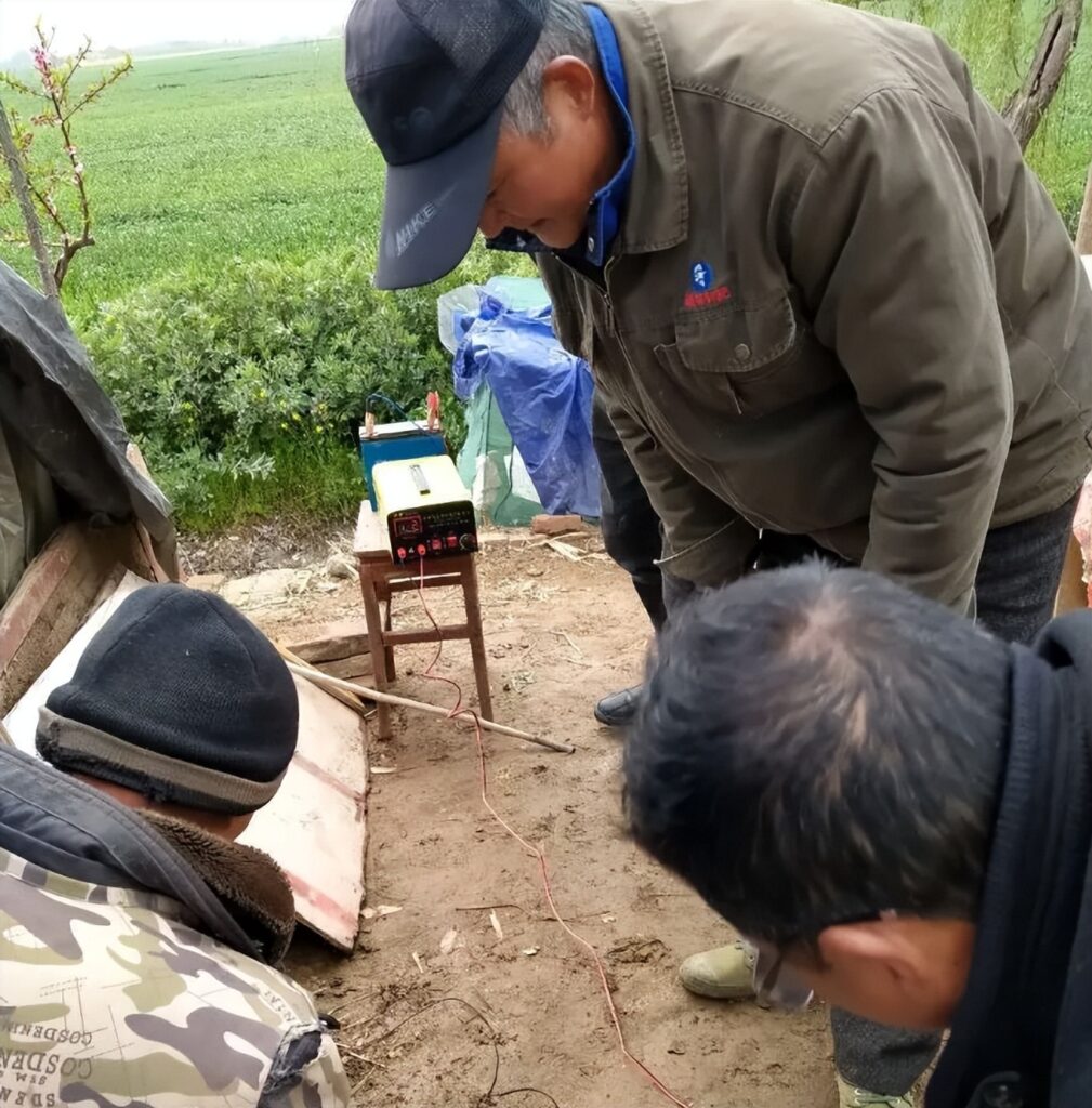 蚯蚓干价格暴涨 蚯蚓遭灭绝式捕杀