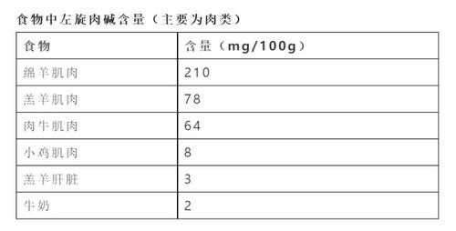 左旋肉碱对身体伤害吗_左旋肉碱有副作用吗