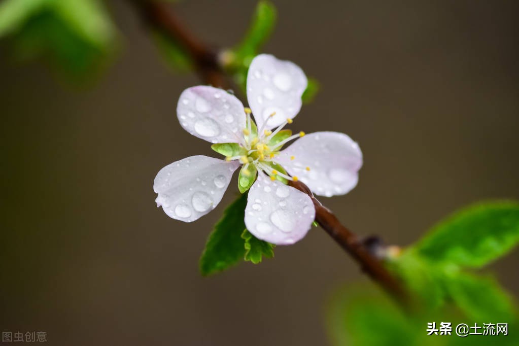 一般梅雨季节多少天_梅雨季节多少天结束