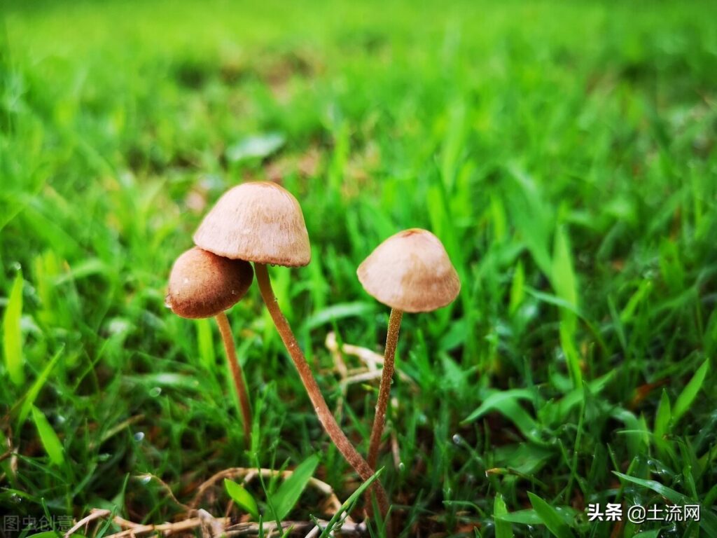 一般梅雨季节多少天_梅雨季节多少天结束