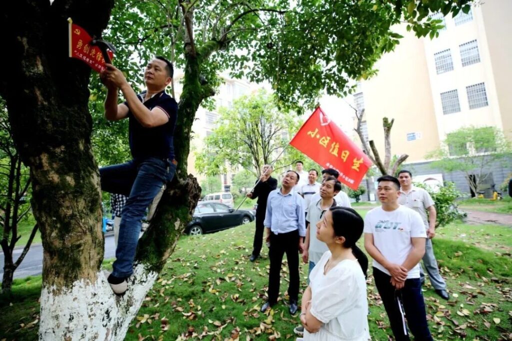 同心！同向！同频！我县“三强化”浇灌“平安花”~