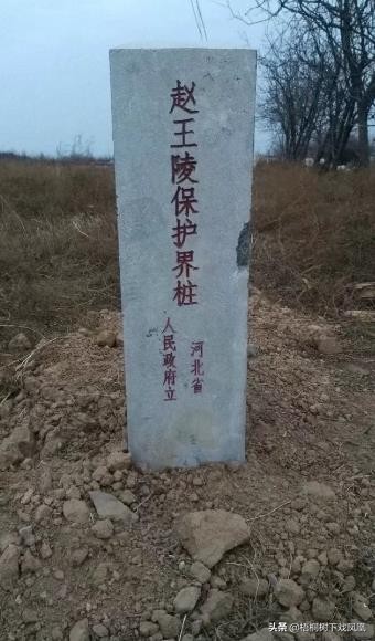 河南为什么热成了“可南”？