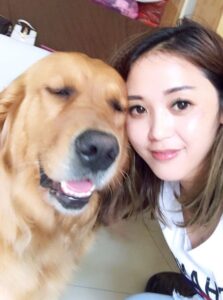 如何饲养金毛犬_饲养金毛犬的方法