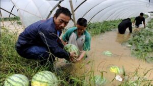 贵州黔东南现特大暴雨 房屋被冲走