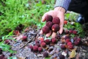 贵州黔东南现特大暴雨 房屋被冲走