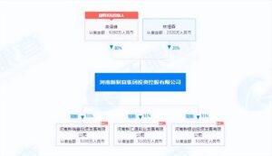 已初步查明河南新财富集团犯罪事实