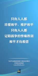 习近平：不为一时一事所惑 不为风险所惧 勇敢面对挑战