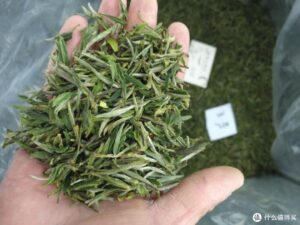 茶叶哪些品牌好_十大名茶品牌