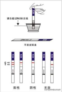 排卵试纸的测算时机_排卵试纸的使用方法