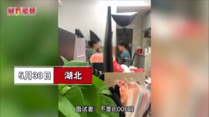 00后女孩去面试全程狂怼HR