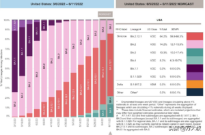 奥密克戎第二代变种未来或起新疫情
