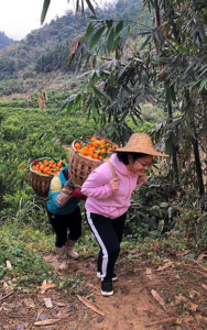 30岁牺牲在扶贫路上后，大家发现她的家也才刚脱贫3年