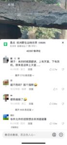 非洲狮在杭州热成了“狗”