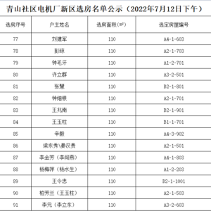 “电机厂新区”棚改项目选房情况公示