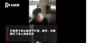 小区张贴女业主养狗提示？警方辟谣