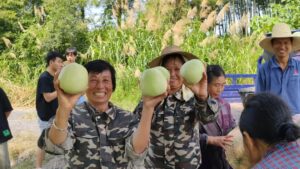 瓜果飘香！分宜的夏天带点“甜”……