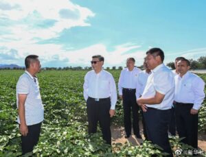 习近平在新疆石河子市考察调研